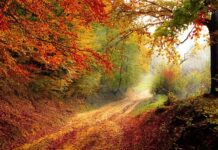 Jakie znasz przyczyny spadku ciśnienia w cylindrach silnika?