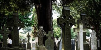 Co zamiast mostu na zęby?