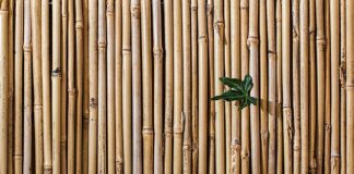 Co to jest sztywny most?