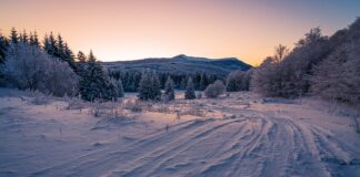 Czy opony mogą stać?