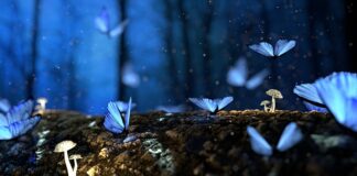 Jak łączyć ze sobą drewno?