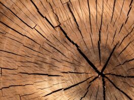 Z jakiego drewna robi się trzonki?