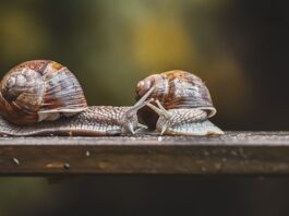 Do czego służy czujnik filtra powietrza?