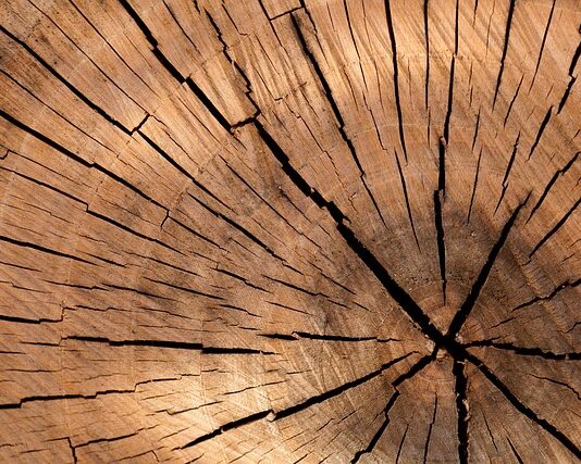 Ile drewna na 1 tonę węgla?