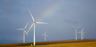 Czy generator plazmowy jest szkodliwy?