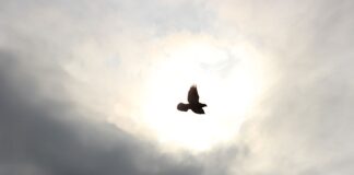 Co daje przelot w samochodzie?