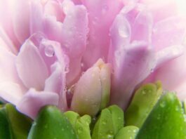 Jak wstać z łóżka?