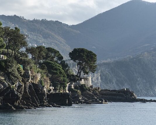 Ile kosztuje wymiana płynu chłodniczego w motocyklu?