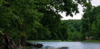 Jak w dawnych czasach leczono zęby?