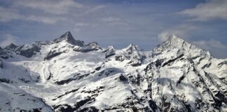 Jaki Motul do quada?