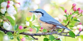 Co do siedzenia przy biurku?